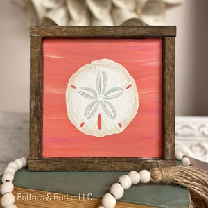 Sand dollar shelf sitters