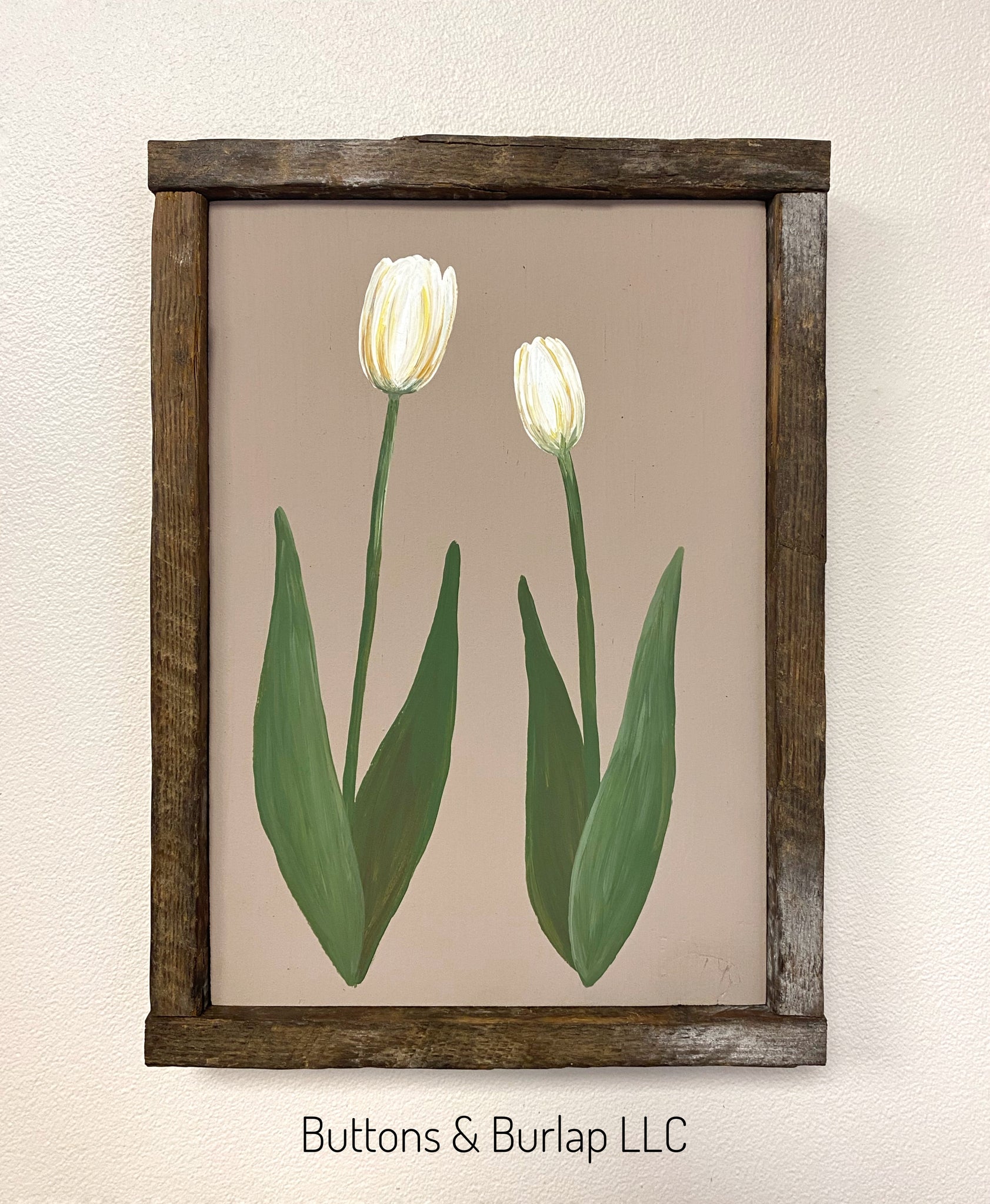 White tulips (tan background)